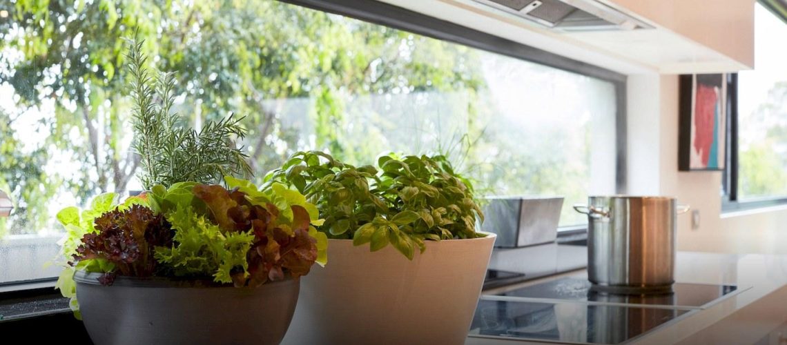 EDEN Planters make an ideal herb garden for your kitchen.