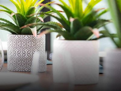 EDEN-ceramic-planters-web