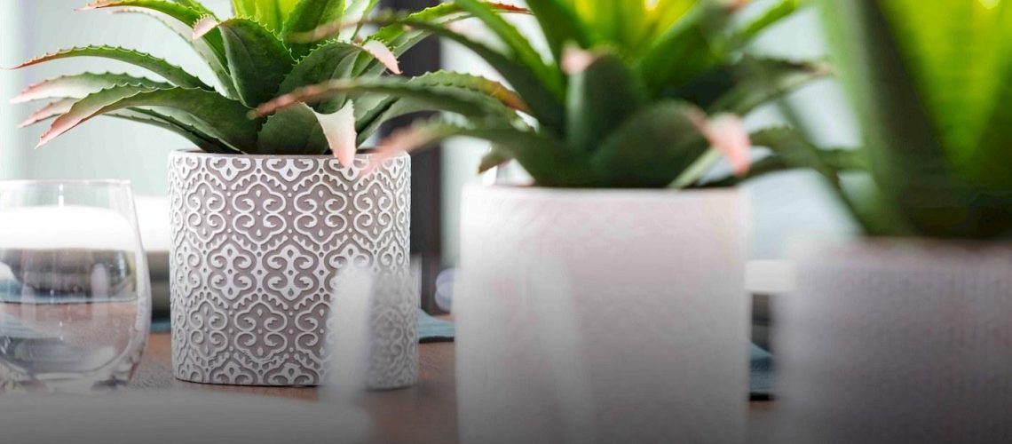 EDEN-ceramic-planters-web